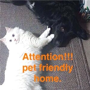 Pet Friendly Home Warning Sign in Orange Text